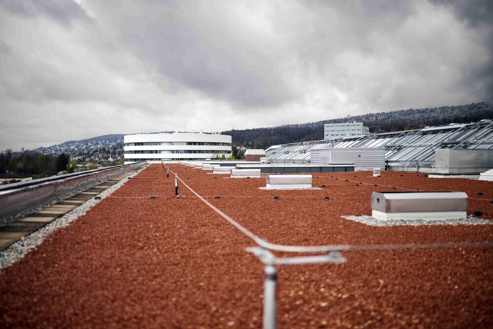 2025 erfolgte die energetische Sanierung eines 700 m² grossen Flachdachs, auf dem später eine Photovoltaik-Anlage installiert werden soll.
